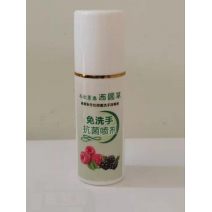 東南西北西國(guó)草免洗手消毒液